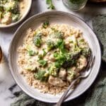 Crockpot Creamy Broccoli Cheddar Chicken Recipe