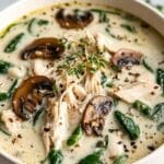 Comforting Rotisserie Chicken and Mushroom Soup Recipe