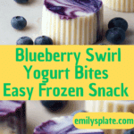 Blueberry Swirl Yogurt Bites Recipe