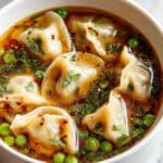 Potsticker Soup Recipe