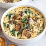 Cozy Rotisserie Chicken Mushroom Soup Recipe