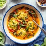 Red Curry Dumpling Soup Recipe