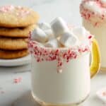 Creamy White Hot Chocolate Recipe