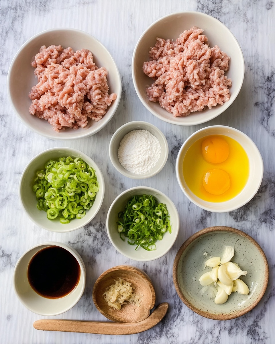 The image shows nine small containers arranged on a white marbled surface. In the top left, there is a white bowl filled with pale pink ground meat. Below it, another white bowl holds a slightly darker pink ground meat. To the right of the light pink meat, a white small bowl contains white powder. Next to it on the right is a white bowl filled with beaten yellow eggs. Below the powder bowl, a small white bowl holds dark brown liquid. In the bottom left, another white small bowl is filled with chopped green peppers. In the center bottom, there is a tiny wooden bowl with minced ginger. To the right of the wooden bowl, a brown ceramic small plate has chopped garlic on it. In the middle near the first two bowls, a tiny white bowl contains sliced green onions. The textures range from soft to chopped, with colors mainly pink, green, white, yellow, and brown. photo taken with an iphone --ar 4:5 --v 7